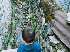 门口的小桥流水-三岔涧农家乐