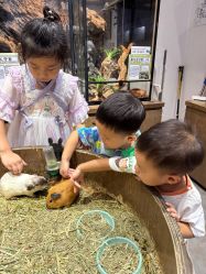 -Zoolung Zoolung动物主题公园(海信广场店)