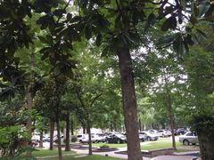 环境-南京双门楼宾馆(盐仓桥地铁站阅江楼店)