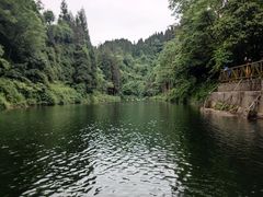 -龙苍沟森林公园