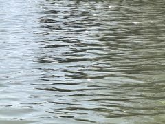 -新江湾城公园