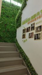 -莱可美科技美肤