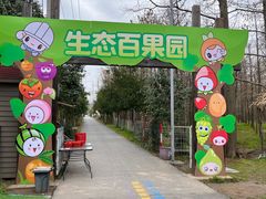 -上海长兴岛郊野公园