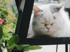 -老屋咖啡