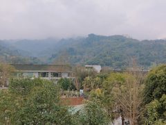 -雅安楠水阁温泉酒店