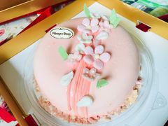 -哈根达斯(西安高新店)