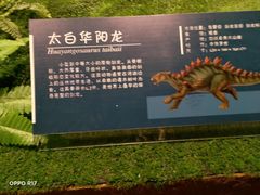 -贵州省博物馆(新馆)