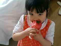 -田园东方蜜桃村的田野营地