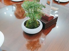-茶港食堂(武昌店)