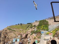 -海驴岛(荣成市)