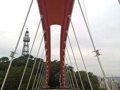 -金鸡山公园
