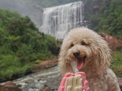 -赤水丹霞旅游区·大瀑布