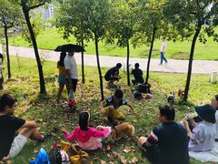 -栖露营camping·天幕烧烤·团建拓展·采摘营地