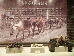 -迪庆藏族自治州博物馆