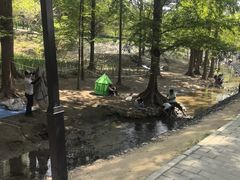 -白水寺森林公园