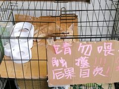 -Ten Olives甜点
