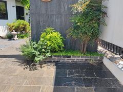 -汤宴·参须肚包鸡(南京路店)