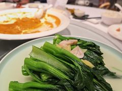 上汤菜心-千灯盛汇·头牌粤菜(致越优城店)