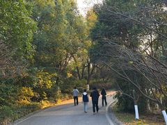 -南京市江宁方山