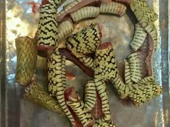 android_upload_pic-荔城生鲜盛宴(番禺旗舰店)