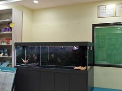 -天宠宠物医院24小时·急重症诊疗中心·全科·腔镜特色(和平分院)