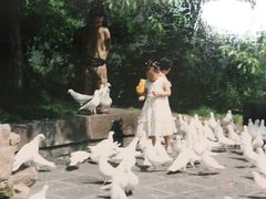 -成都市活水公园