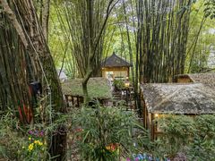 -竹海听涛生态山庄