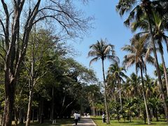 -中国科学院西双版纳热带植物园
