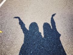 -广州白江湖森林公园