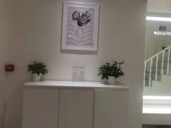 -SILKTONE诗丽堂美容