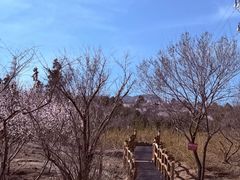 -白水寺森林公园