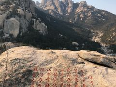 -崂山仰口游览区