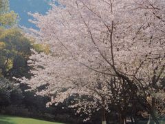 -中国茶叶博物馆(双峰馆区)