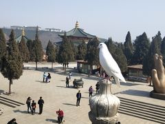 -龙口南山旅游景区