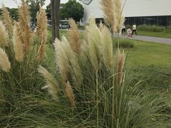 -嘉北郊野公园