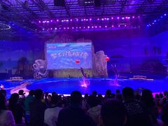 -华夏文旅海洋公园