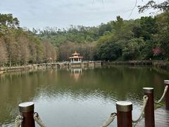 -深圳仙湖植物园
