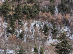 -古尔沟华美达温泉度假酒店