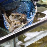 谁能拒绝这么正宗的糟粕醋火锅啊！[色]