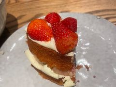 -Wagas沃歌斯(枫蓝国际店)