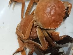 -半岛听涛蒸汽海鲜自助(K11店)