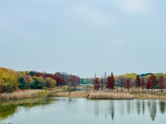 -贡湖湾湿地公园