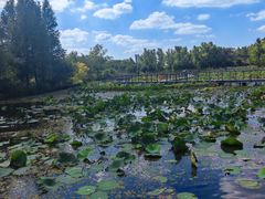 -昆山城市生态森林公园