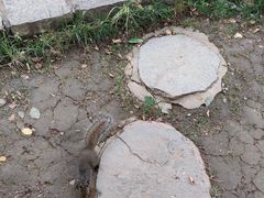 -秦岭终南山世界地质公园翠华山景区