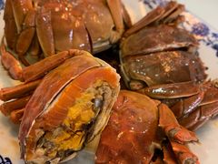 -呼吸森林·生态农庄农家乐私房菜