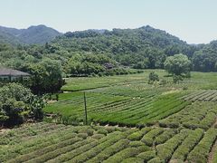 -杭州西湖风景名胜区-三生石