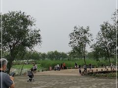 -绿堤公园
