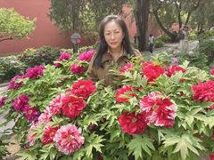 -北京市劳动人民文化宫(太庙)