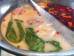 五色芙蓉锅-湊湊火锅·茶憩(新中关购物中心店)