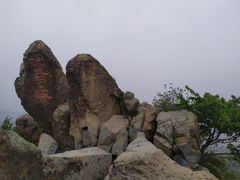-北京鹫峰国家森林公园